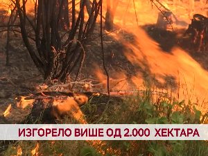 Изгорело више од 2.000 хектара