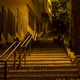 Ноћне променaде