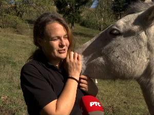 Како је Ива, са енглеском дипломом инжењера коњарства, Београд заменила селом код Нове Вароши?