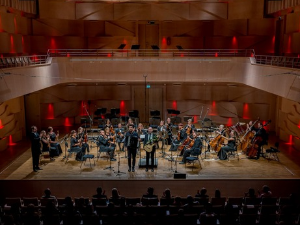 Фестивал хармонике у Талину – Акордионфест