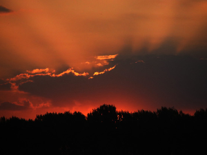 Ритам раног јесењег јутра