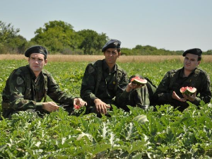 Војна академија, 6. епизода