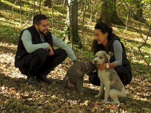 Гастрономад