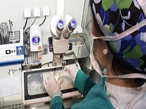 Преко трња до Љубице