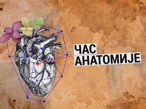 Час анатомије: Постоји ли реализам без магије