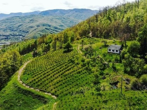 Изгуби се у природи, пронађи себе   