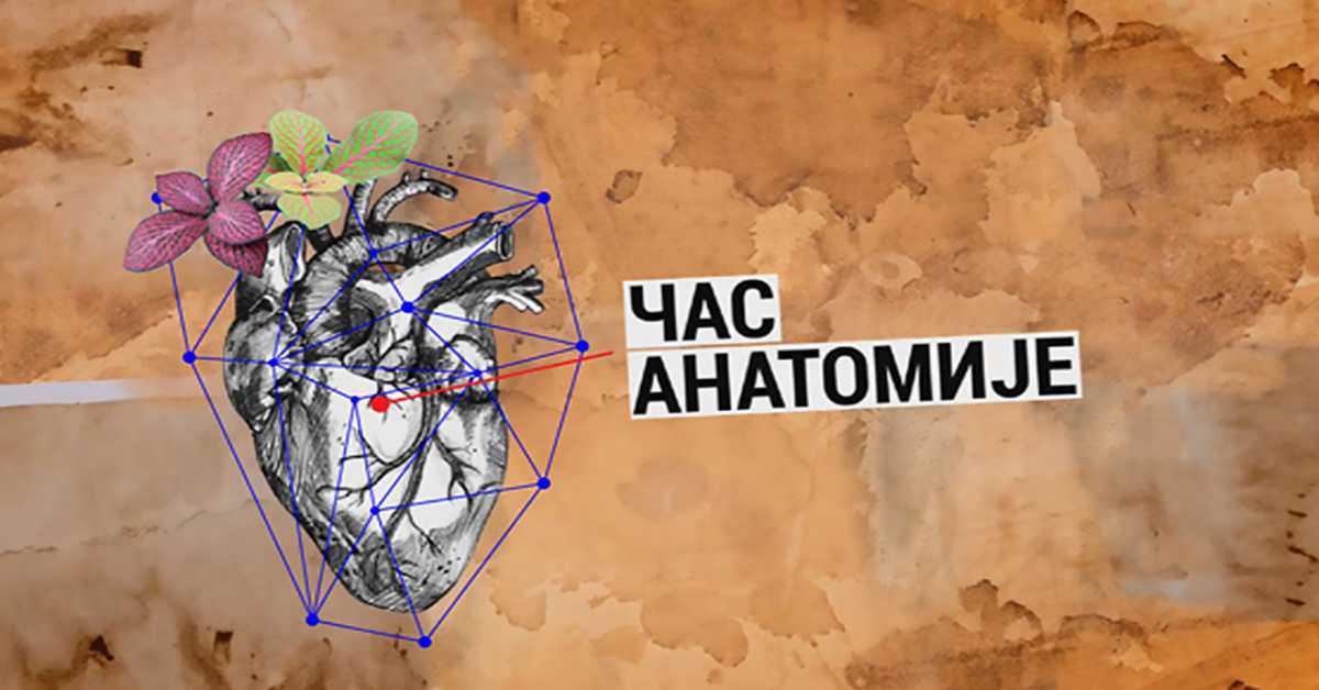 Час анатомије: Постоји ли реализам без магије