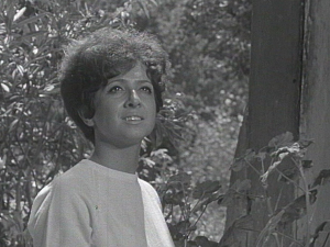 Сваки дан једна песма - Василија