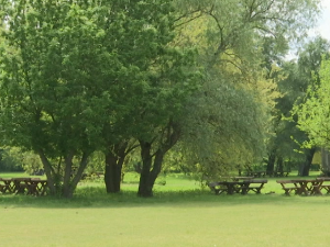 Велико ратно острво – оаза птица, сведок девастирања и сударања цивилизација