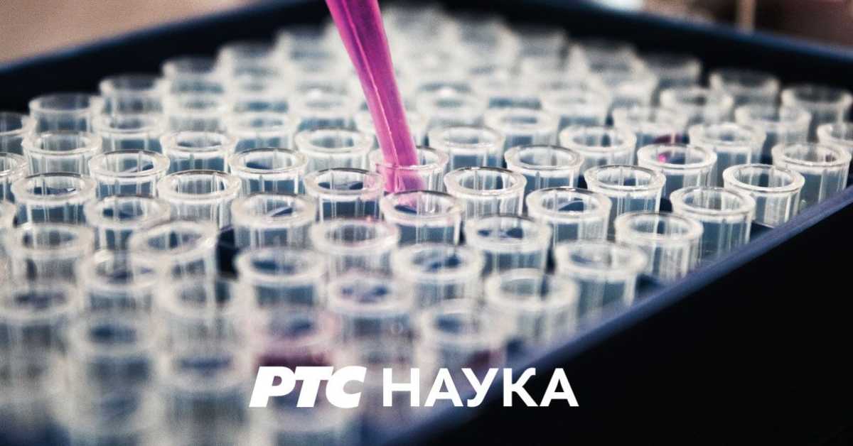 Добро је, добро је знати: Стварно добра храна Добро је, добро је знати: Стварно добра храна
