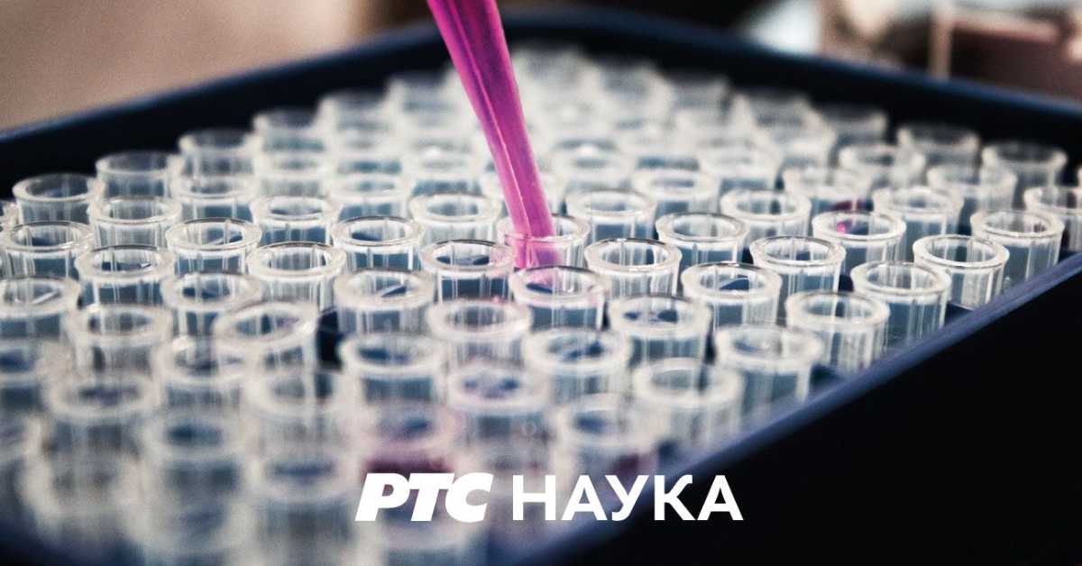 Студио знања: Сан и продуктивност Студио знања: Сан и продуктивност