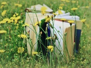 Поноћни глаголи у Понтеведри