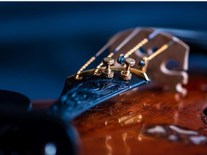 Уметност интерпретације – Виолиста Тимоти Ридаут