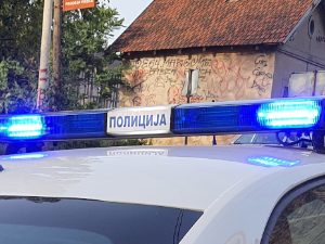 Два власничка пса усмртила старицу у Нештину