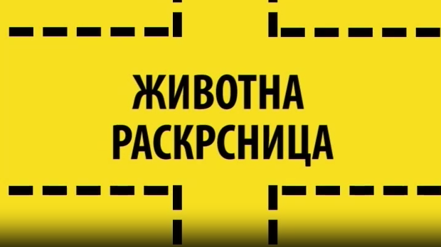 Животна раскрсница:	Агресија