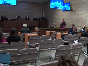 На суђењу Слађану Трајковићу испитан још један сведок тужилаштва