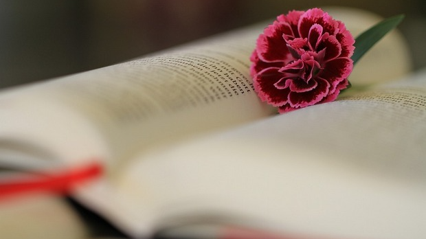  Тајни роман Горана Гроловића и Два лица еманципације