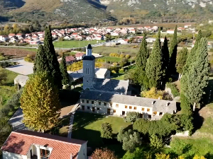 Житомислић - крива палма, права историја