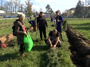 Регенеративна пољопривреда у теорији и пракси
