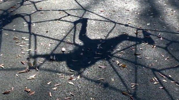 Када заштитници постану злостављачи – малолетнице у ланцу трговине људима