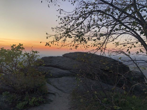 Еко минијатуре: Заштићена подручја Србије – Ада Циганлија