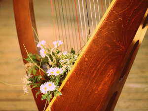 Средњовековне песме рајнског харфисте