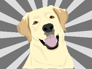 Добро јутро децо: Меда и Габи