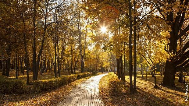 На три воде: Јутарњи програм из три студија
