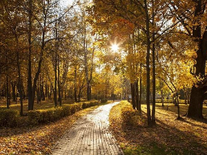 Јутарњи програм из три студија