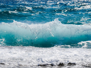 Ни обале, ни плаже – Саргаско море усред Атлантика 