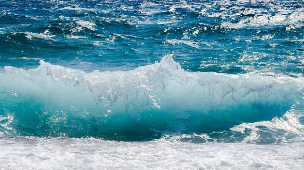 Ни обале, ни плаже – Саргаско море усред Атлантика 