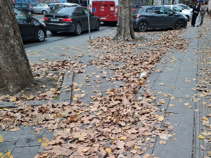 Јутарњи викенд програм