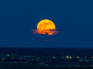Спремите се за несвакидашњи приказ на небу – супермесец у пуном обиму