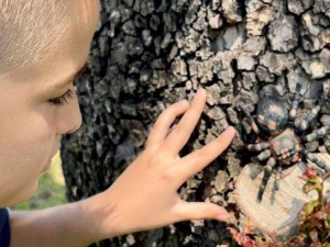 Еко минијатуре: Зоофобија