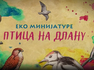 Птица на длану:	Еја мочварица