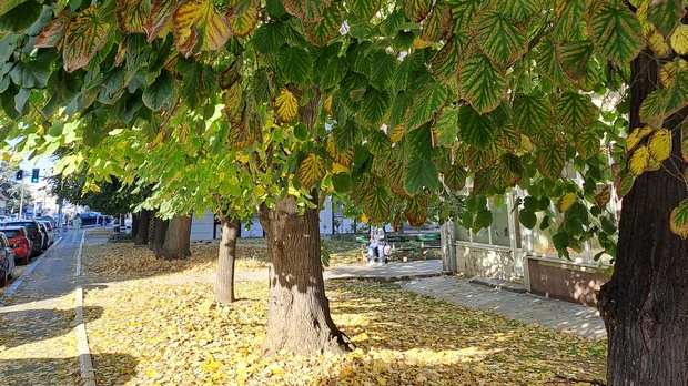Нови дан: Јутарњи викенд програм