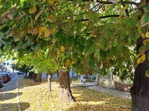 Јутарњи викенд програм