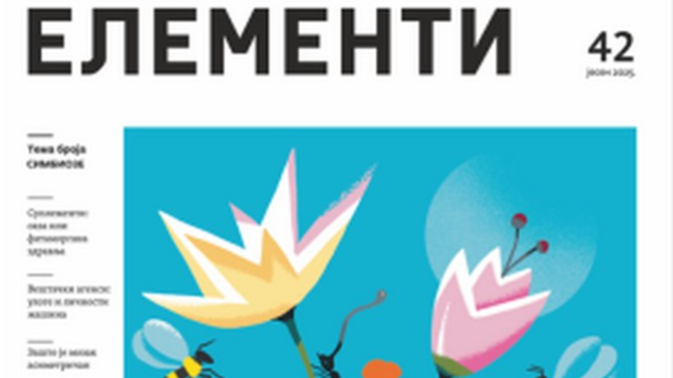 Соларис: Елементи број 42 – Симбиоза