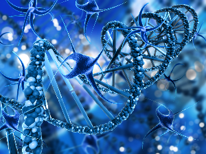 Научници изменили ген који може трајно да смањи висок холестерол