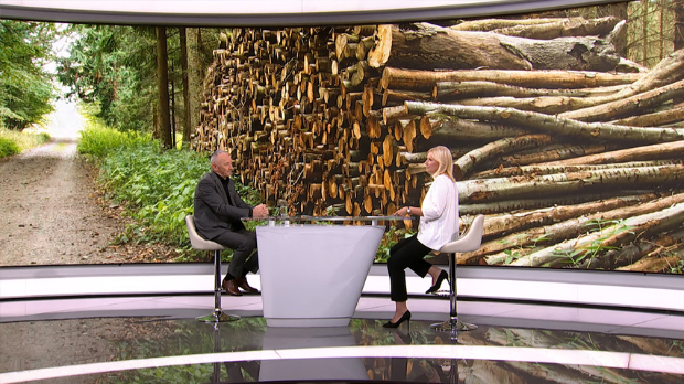 Велика потражња погурала цене огрева на стовариштима, каква је ситуација у 