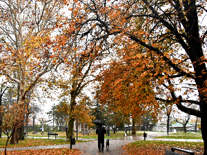Хладно јутро и облачан дан, РХМЗ упозорава на поледицу