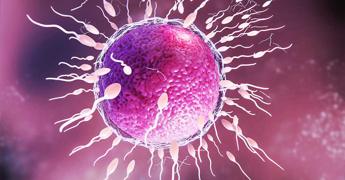 Сперма донора са геном који изазива рак коришћена за зачеће скоро 200 деце