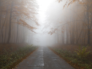 Након јутарње магле у већем делу земље сунчано, највиша дневна температура 14 степени