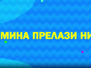 Мина прелази нивое 2: Мина и тајна опаког видеа