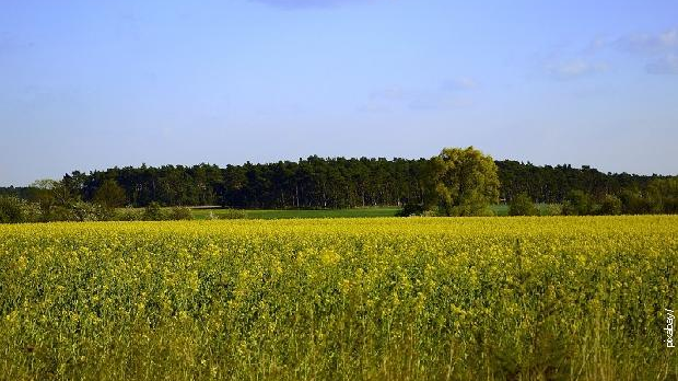 На три воде: Јутарњи програм из три студија