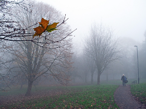Магла уз краткотрајну кишу, сунце на југу – температура до 10 степени
