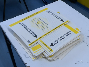 ЦИК БиХ: Синиша Каран победио на председничким изборима у Републици Српској