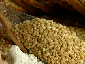 Како кувана пшеница помаже у борби са хемороидима