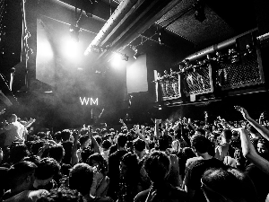 Панорама – Београдски џез фестивал '76 – Muddy Waters, II део