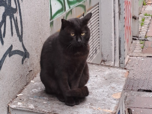 Јутарњи викенд програм